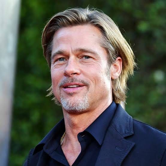 Brad Pitt Wiki, Age, Biography, Facts & More - 9