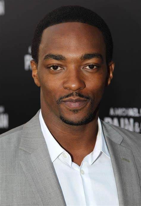 Anthony Mackie Wiki, Age, Biography, Facts & More - 9